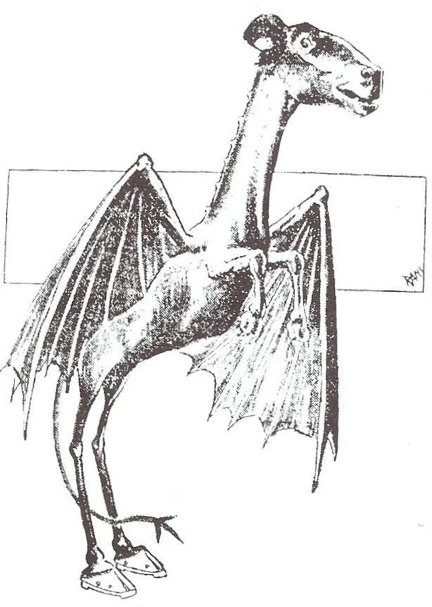 The Jersey Devil: From Pine Barrens Legend to Newspaper Panic feature image