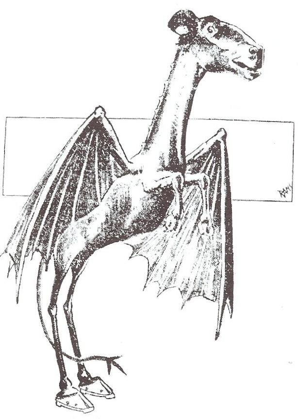 The Jersey Devil: From Pine Barrens Legend to Newspaper Panic feature image